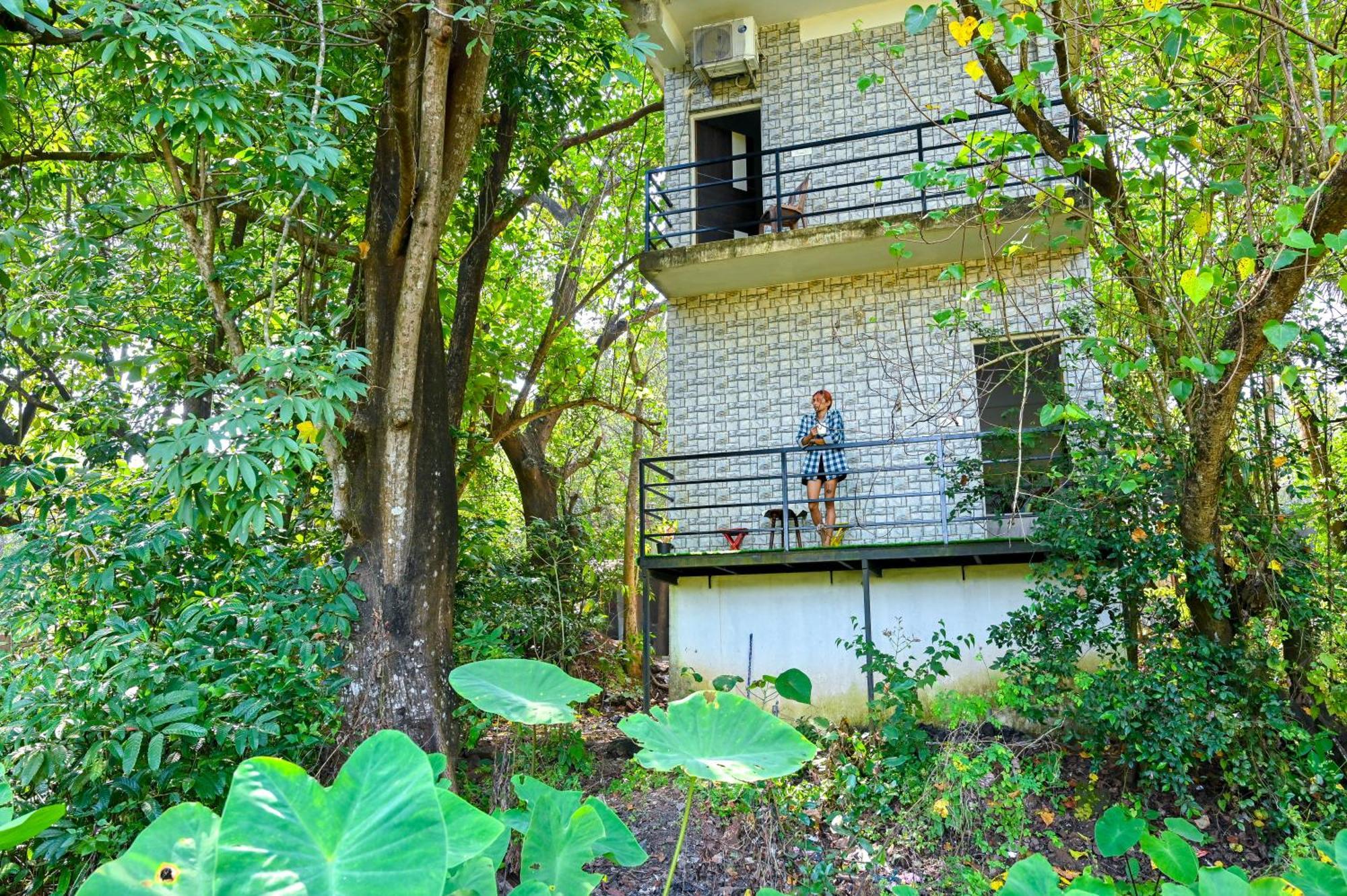 Shell House - Private Stay With Garden View In Arambol Mandrem Zewnętrze zdjęcie